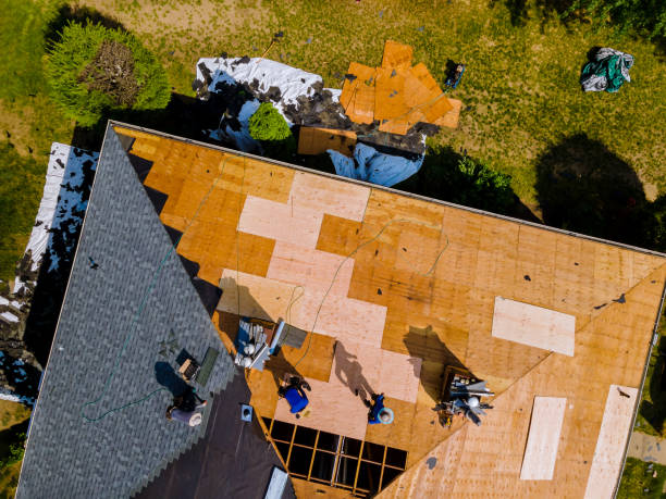 Best Storm Damage Roof Repair  in Cuba, MO